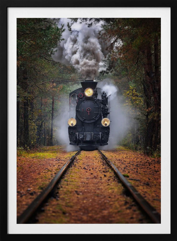 Through the autumn forest | Poster