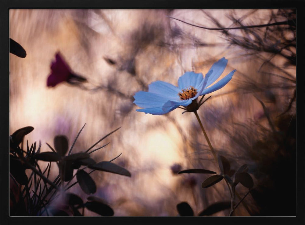 L'indifférence | Poster