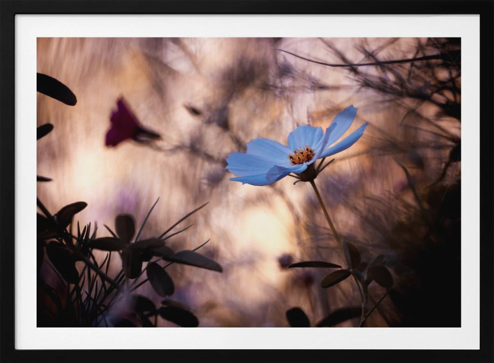 L'indifférence | Poster