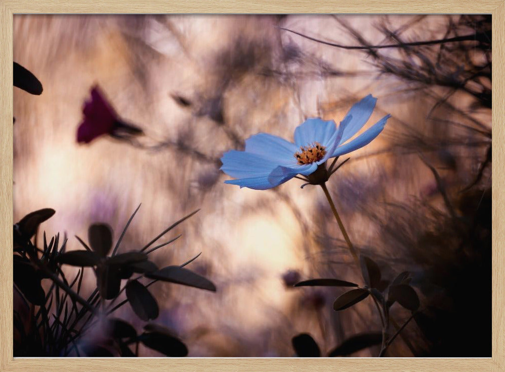 L'indifférence | Poster