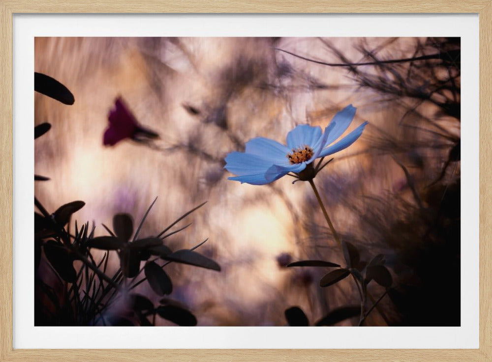 L'indifférence | Poster