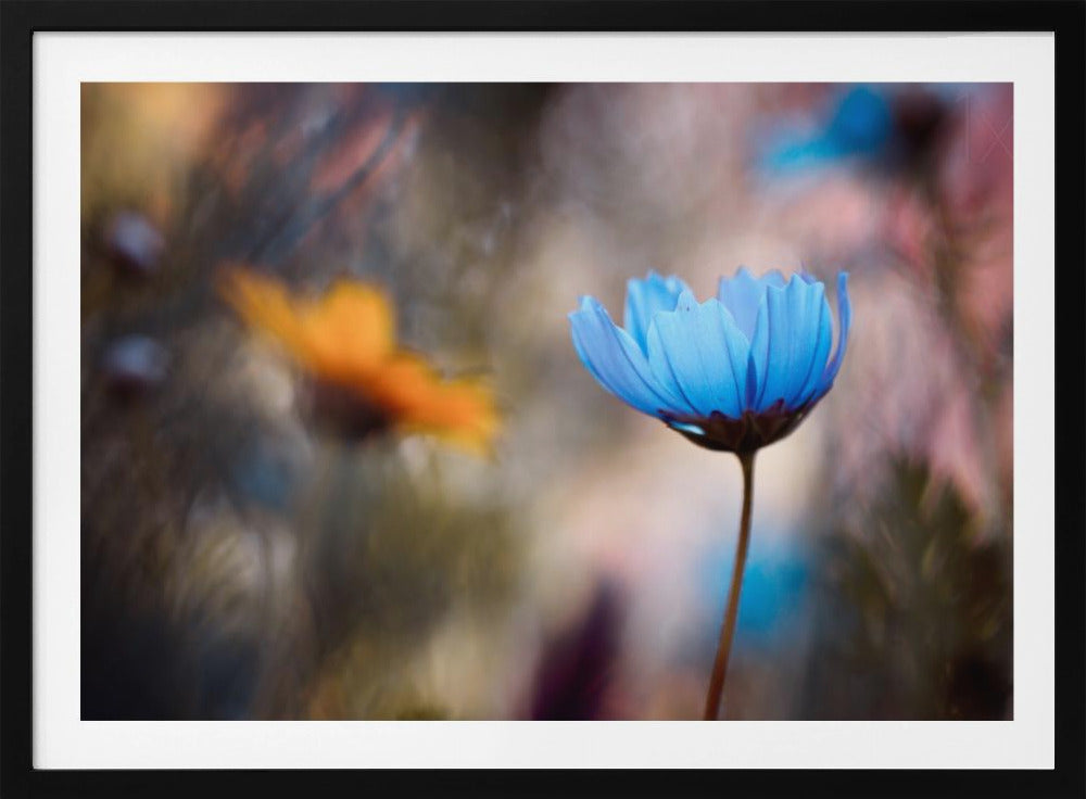 Do you wanna dance with me | Poster