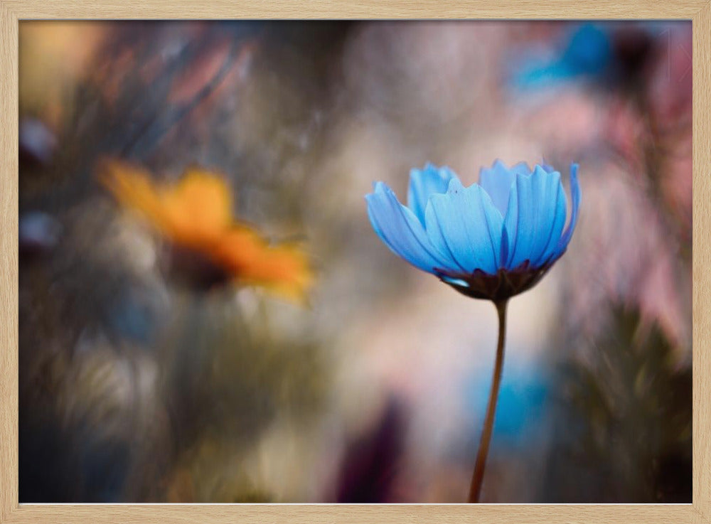 Do you wanna dance with me | Poster