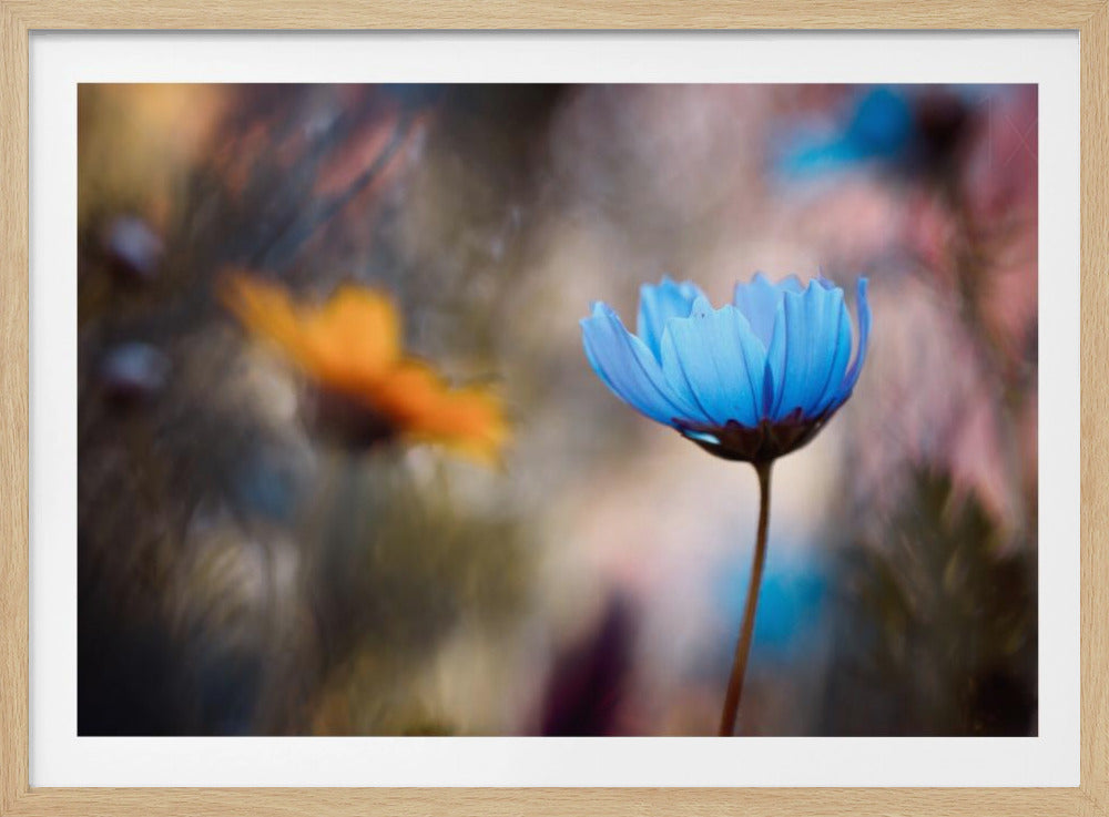 Do you wanna dance with me | Poster