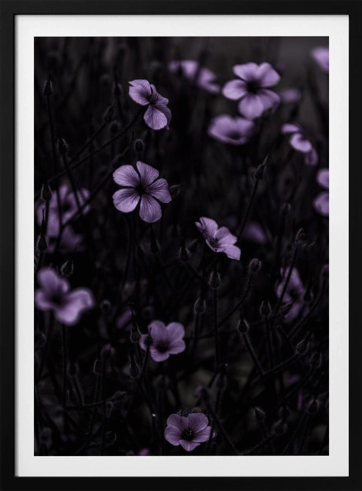 Dark Flowers 10 | Poster