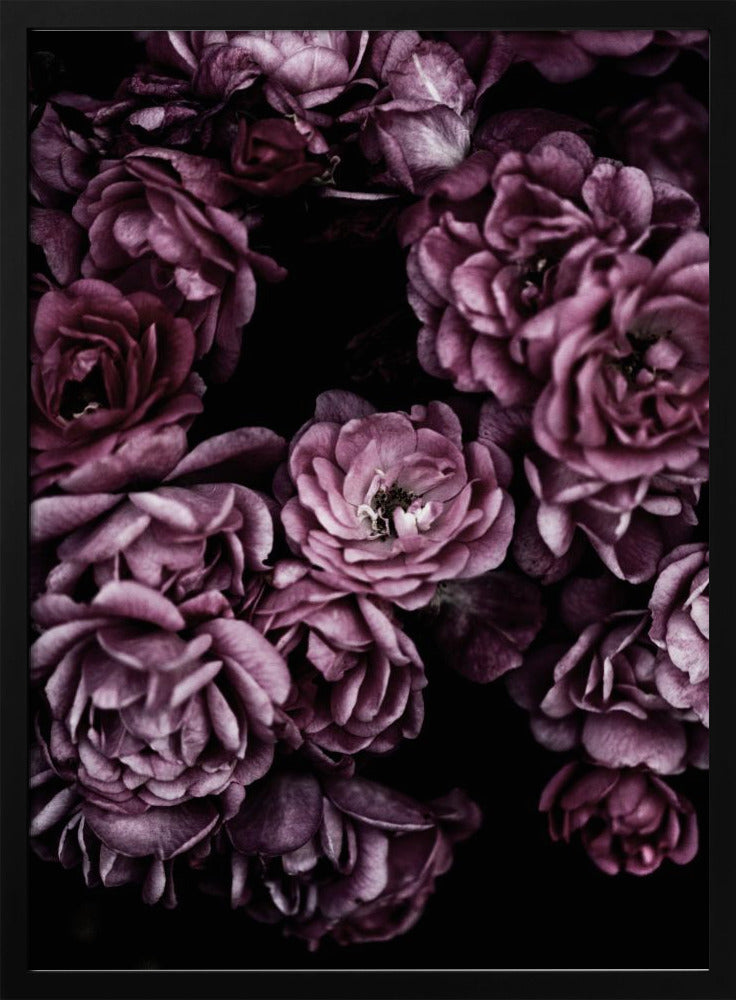 Wild Roses | Poster