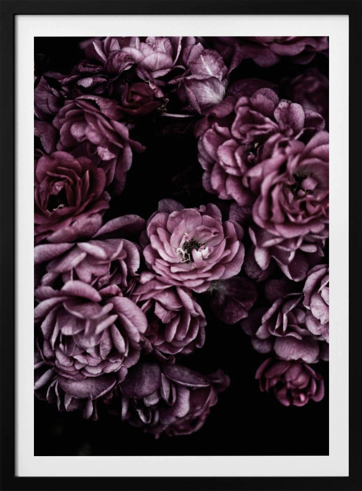 Wild Roses | Poster