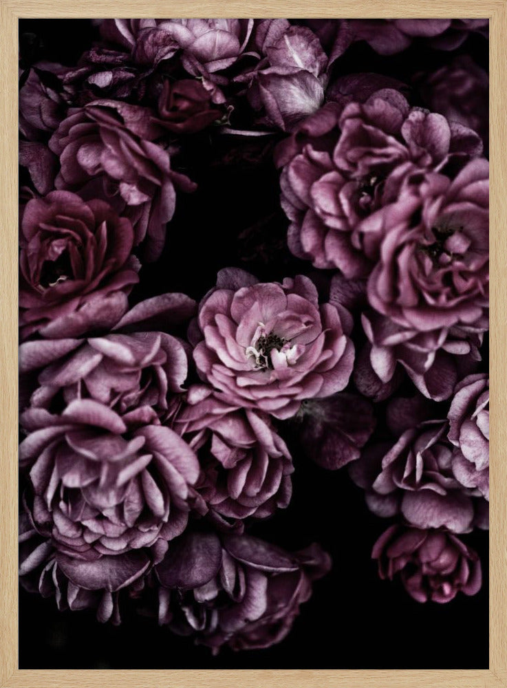 Wild Roses | Poster