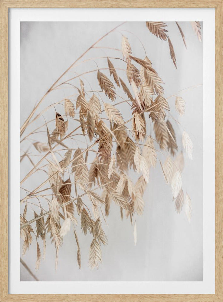 Unknown 4 | Poster