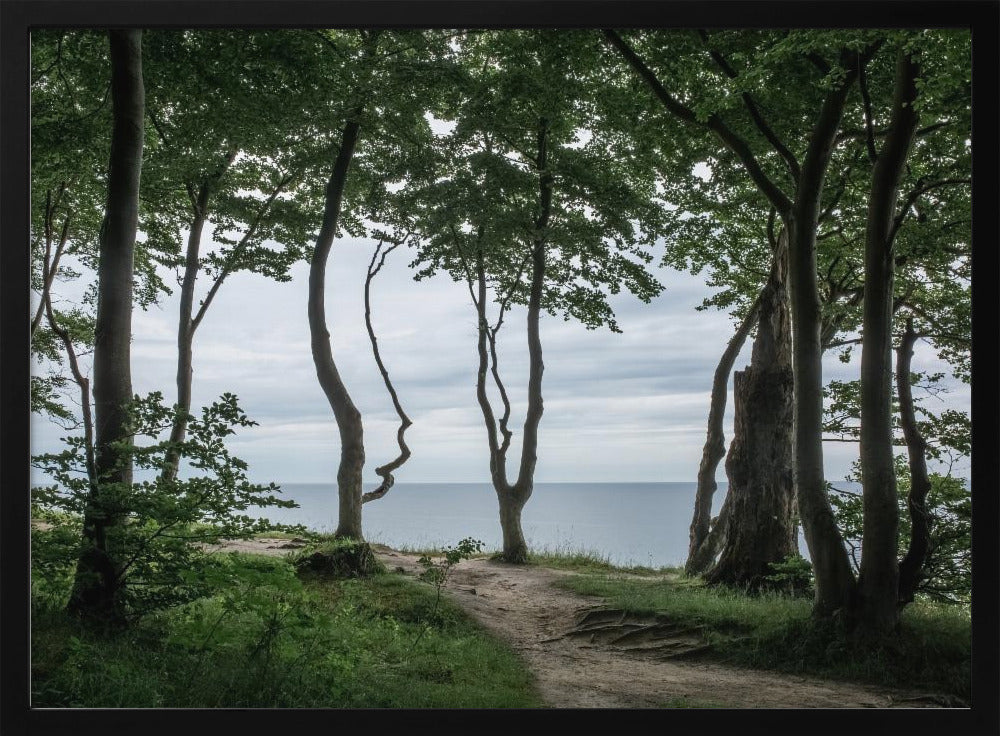 Forest At the Sea 2 | Poster