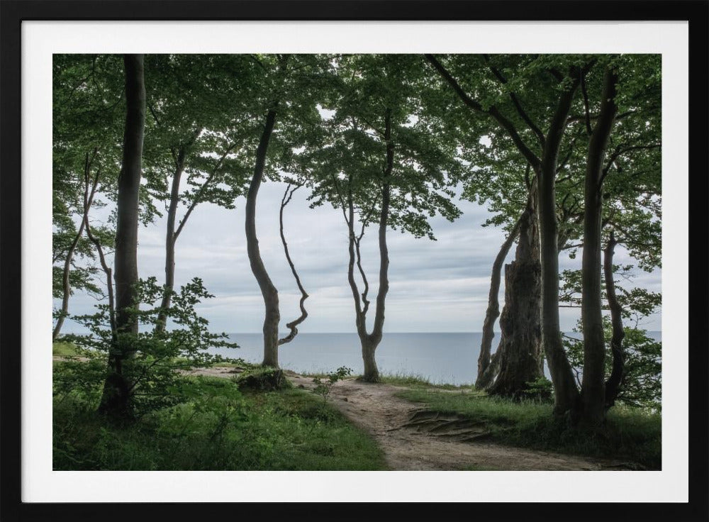 Forest At the Sea 2 | Poster