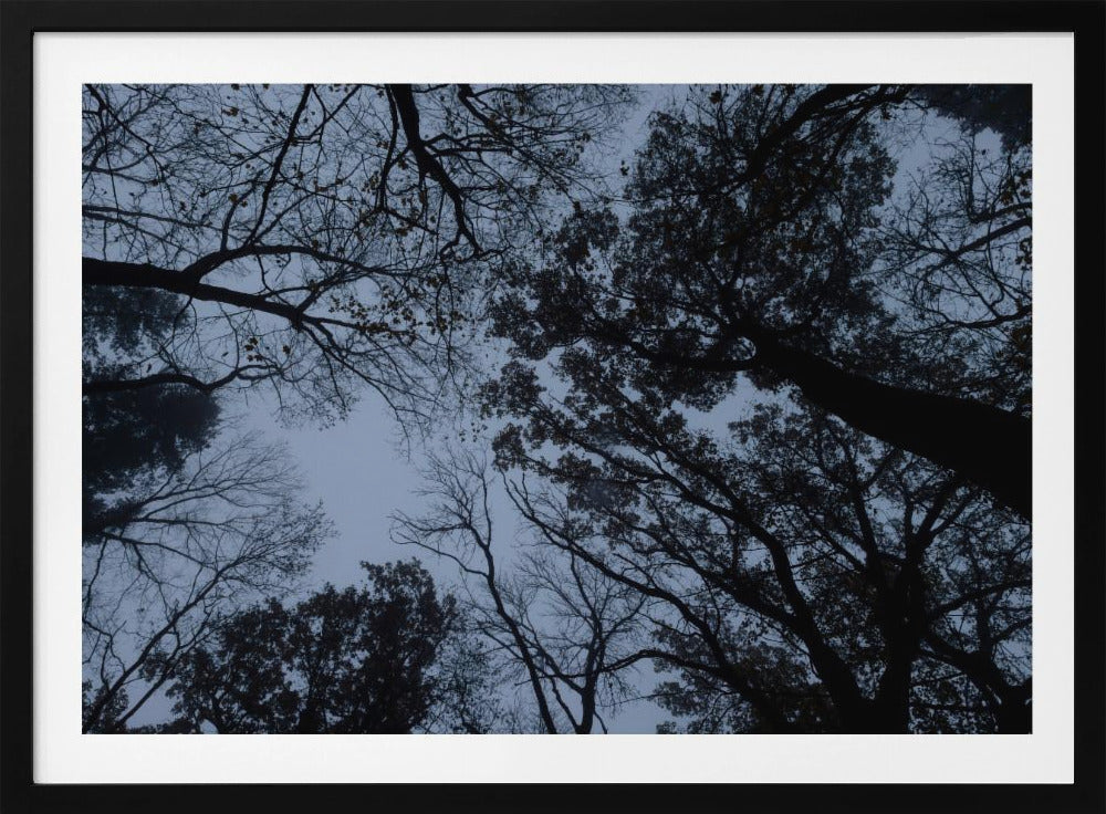 Looking Up 1 | Poster