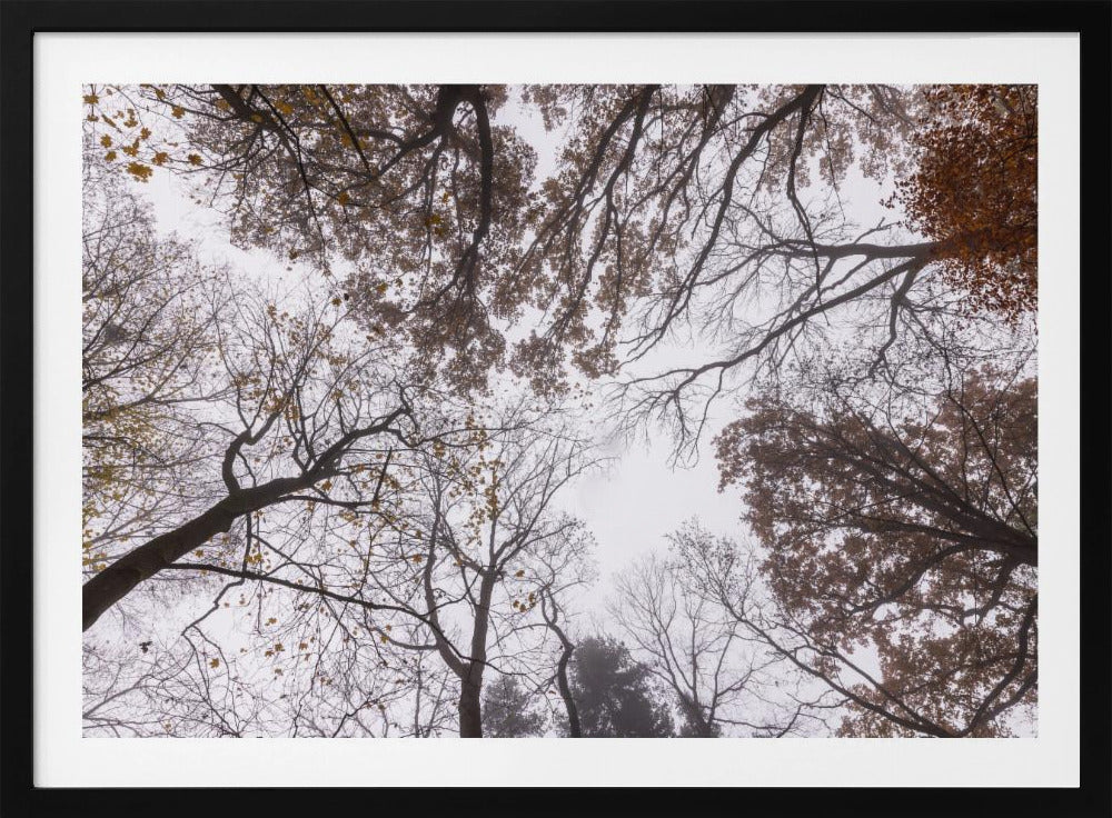 Looking Up 2 | Poster