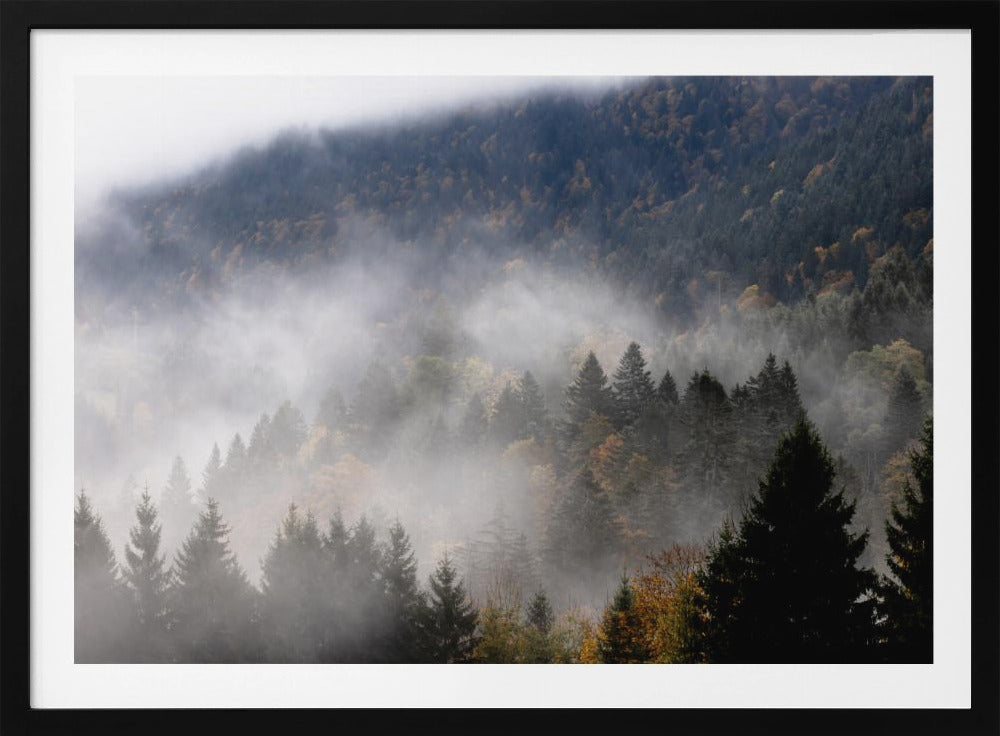 Foggy Woods 9 | Poster