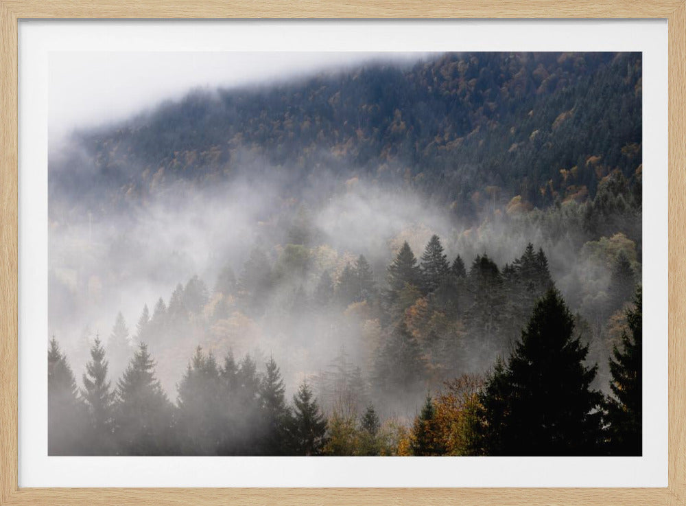 Foggy Woods 9 | Poster