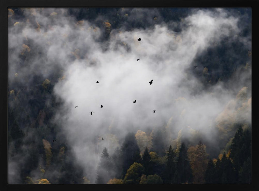 Foggy Woods 8 | Poster