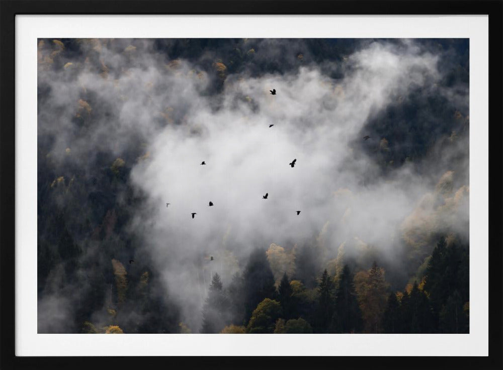 Foggy Woods 8 | Poster