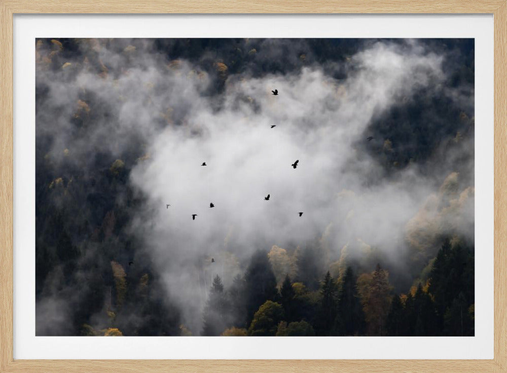 Foggy Woods 8 | Poster