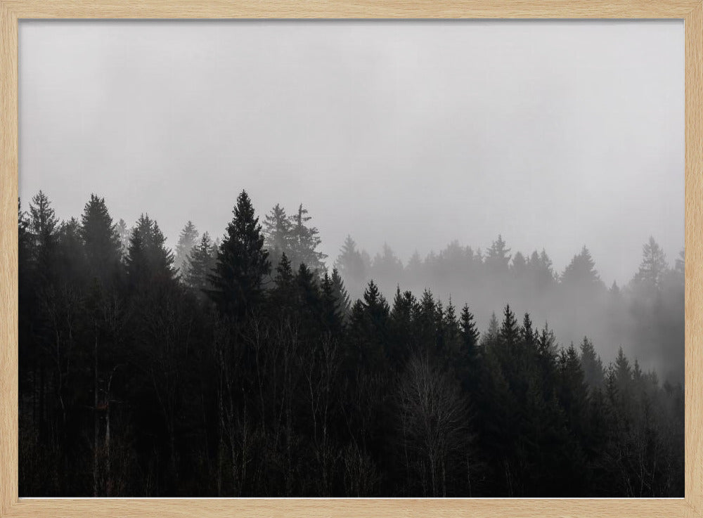 Foggy Woods 7 | Poster