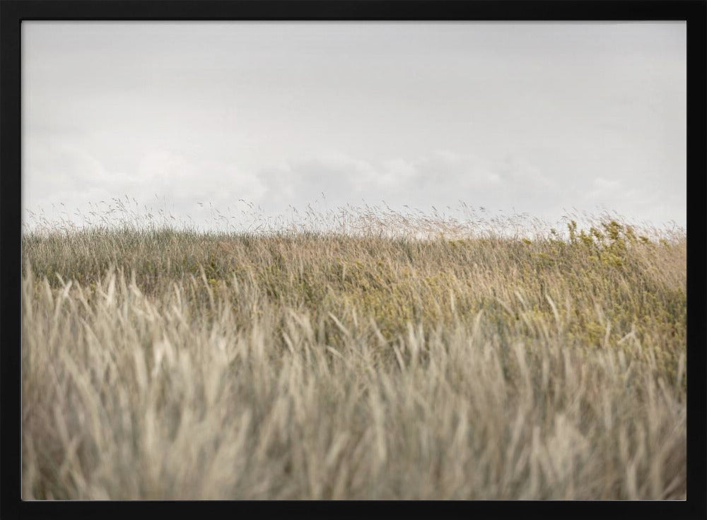 Dunes and Clouds 2 | Poster
