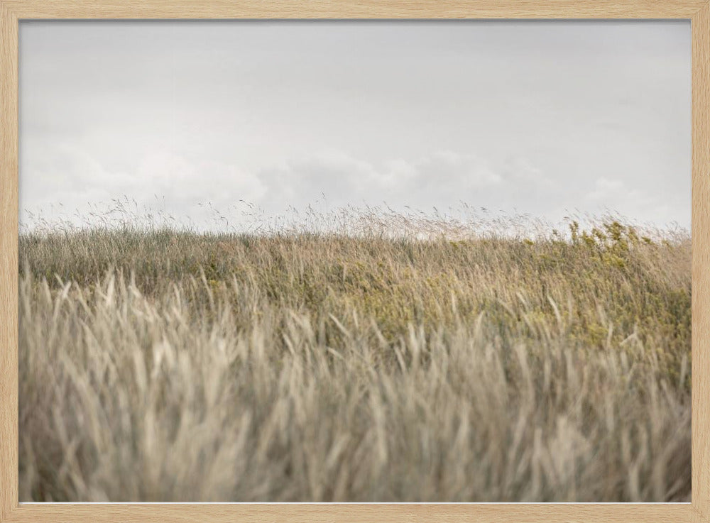 Dunes and Clouds 2 | Poster