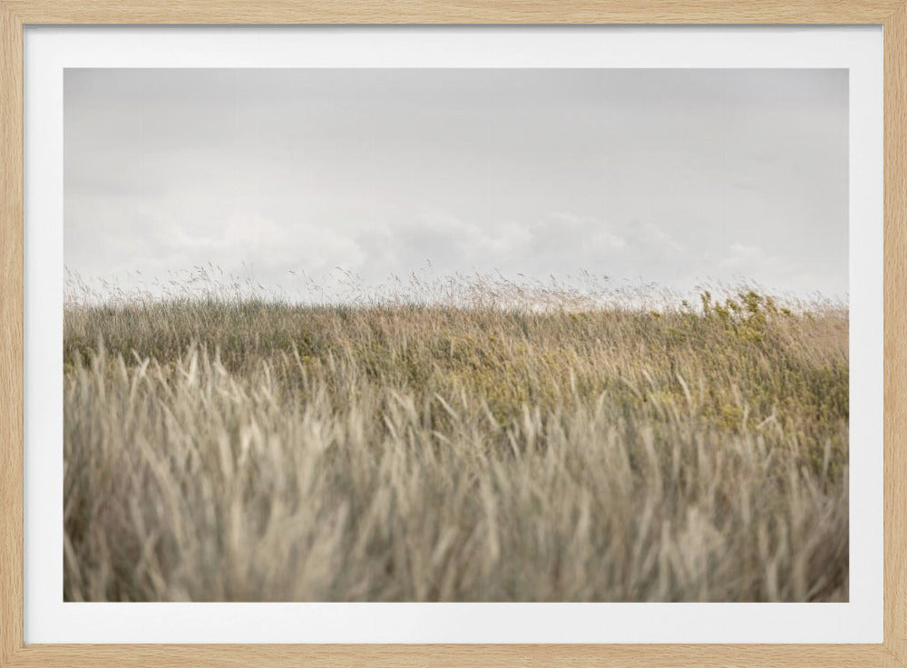 Dunes and Clouds 2 | Poster