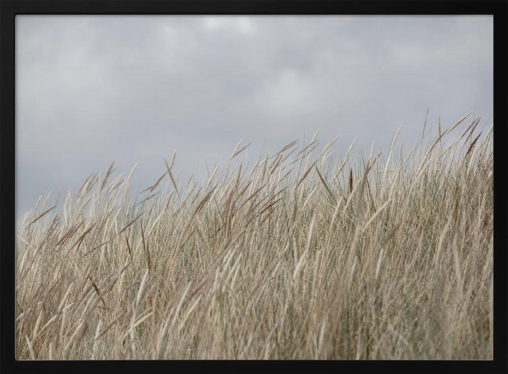 Dunes and Clouds | Poster