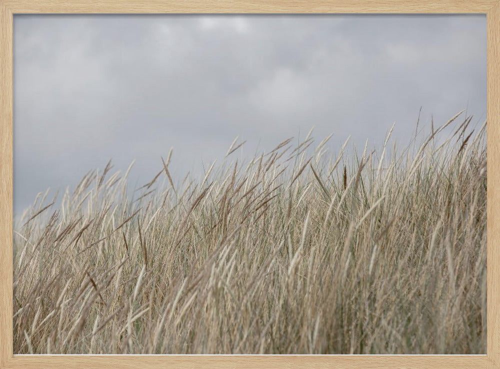 Dunes and Clouds | Poster