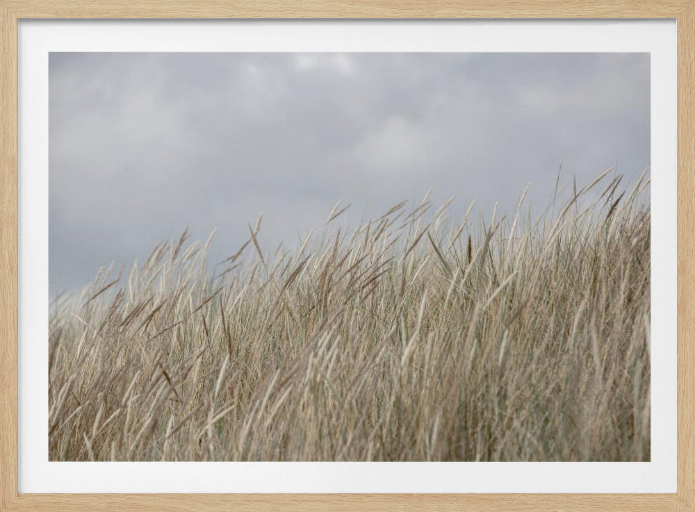 Dunes and Clouds | Poster