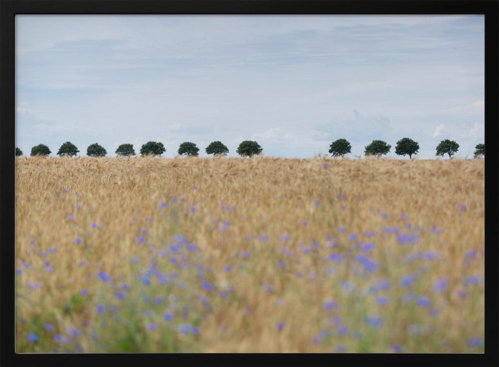 Nordic Moments 4 | Poster