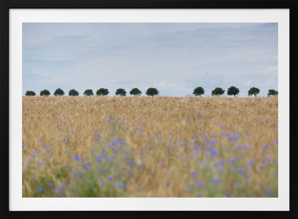 Nordic Moments 4 | Poster