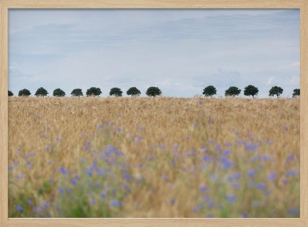 Nordic Moments 4 | Poster