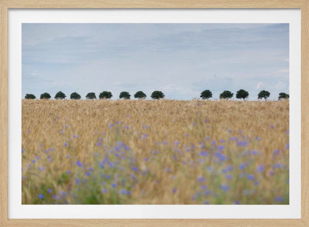 Nordic Moments 4 | Poster