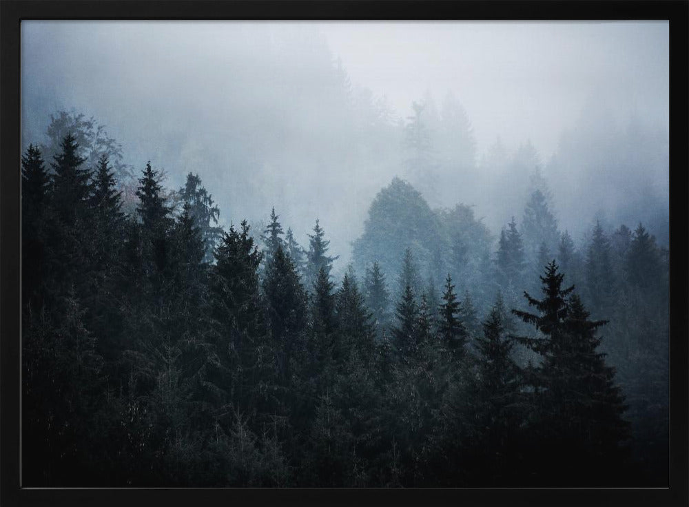 Foggy Woods 5 | Poster