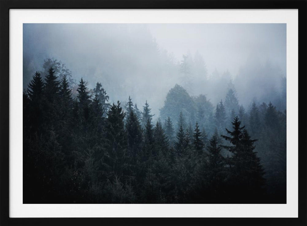 Foggy Woods 5 | Poster