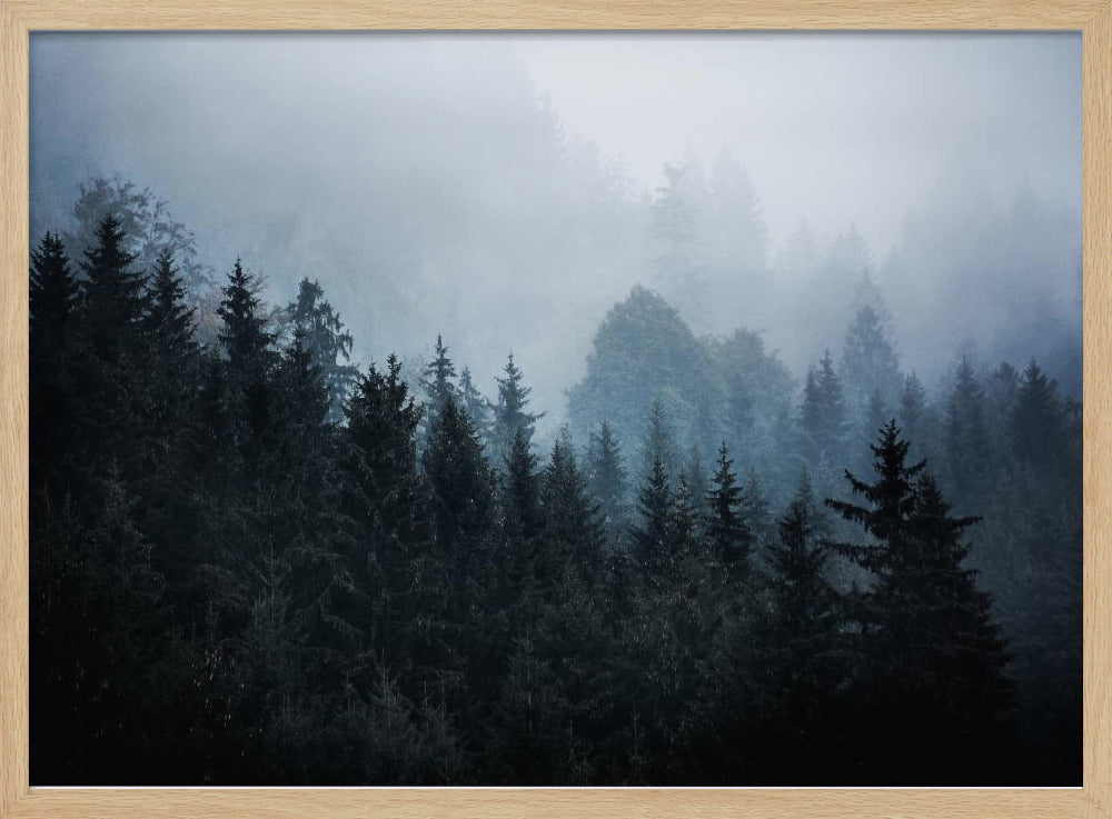 Foggy Woods 5 | Poster