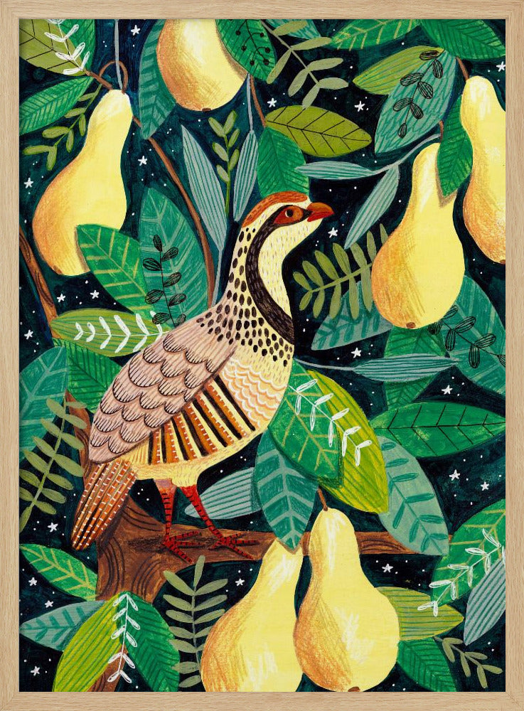 Partridge in a pear tree | Poster