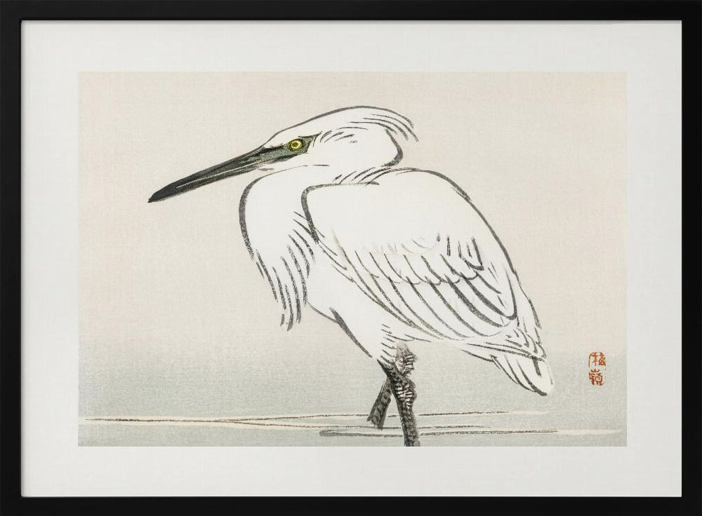 Snowy Egret | Poster