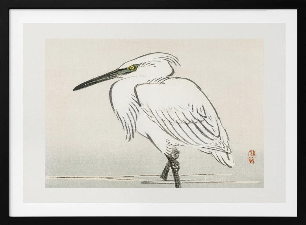 Snowy Egret | Poster