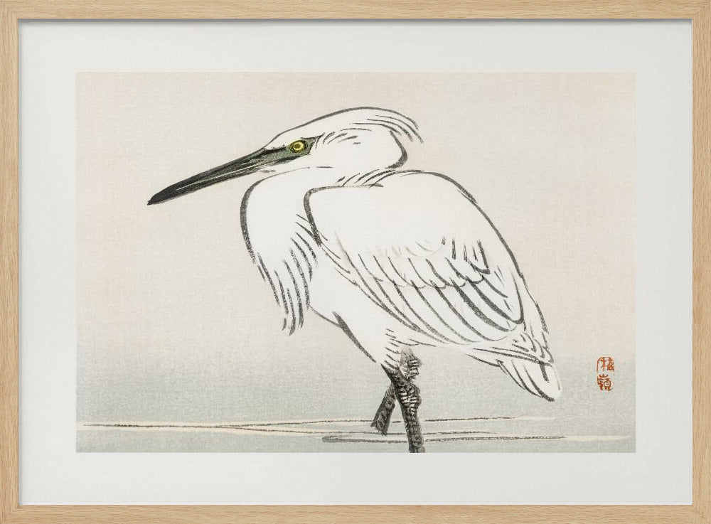 Snowy Egret | Poster