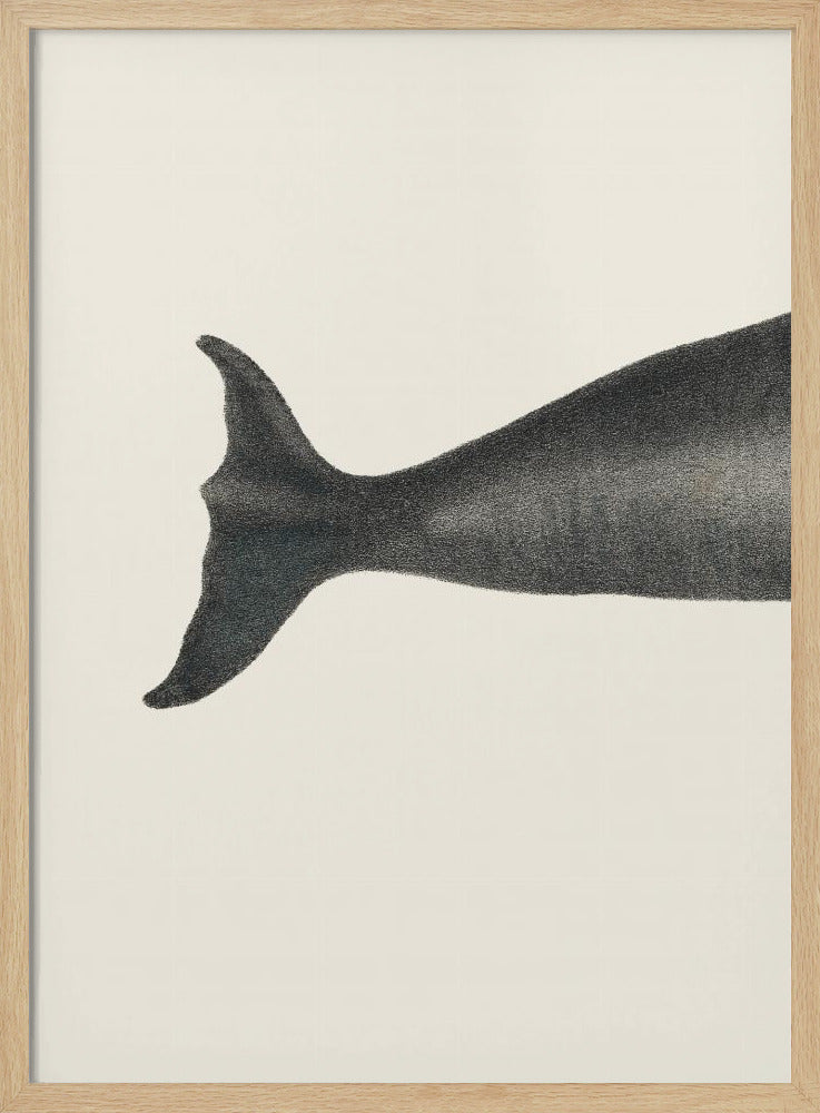 Whale Tight Crop I Handcolored Sealife Lithograph 1824 | Poster