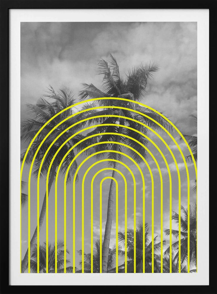 Tropical Echoes | Poster