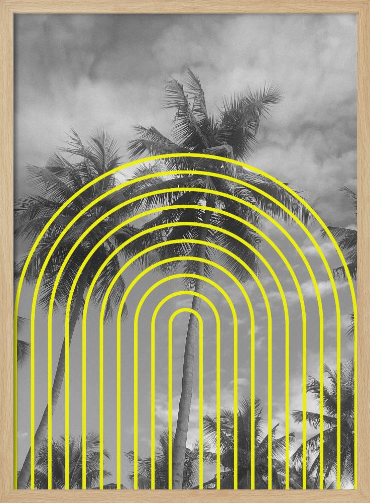 Tropical Echoes | Poster
