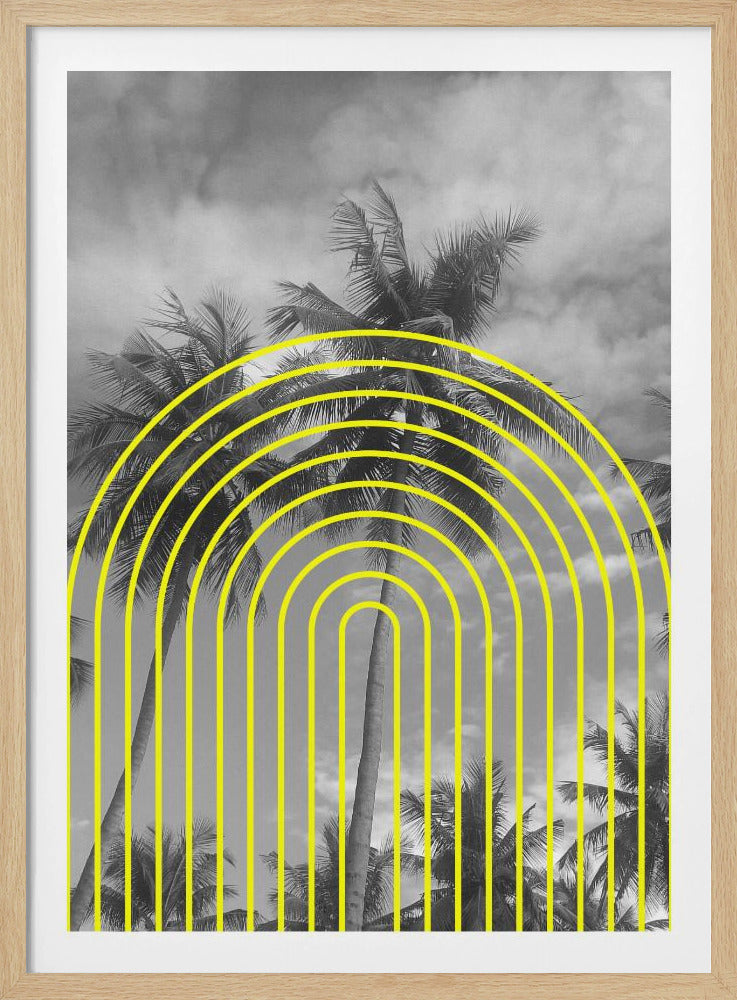 Tropical Echoes | Poster