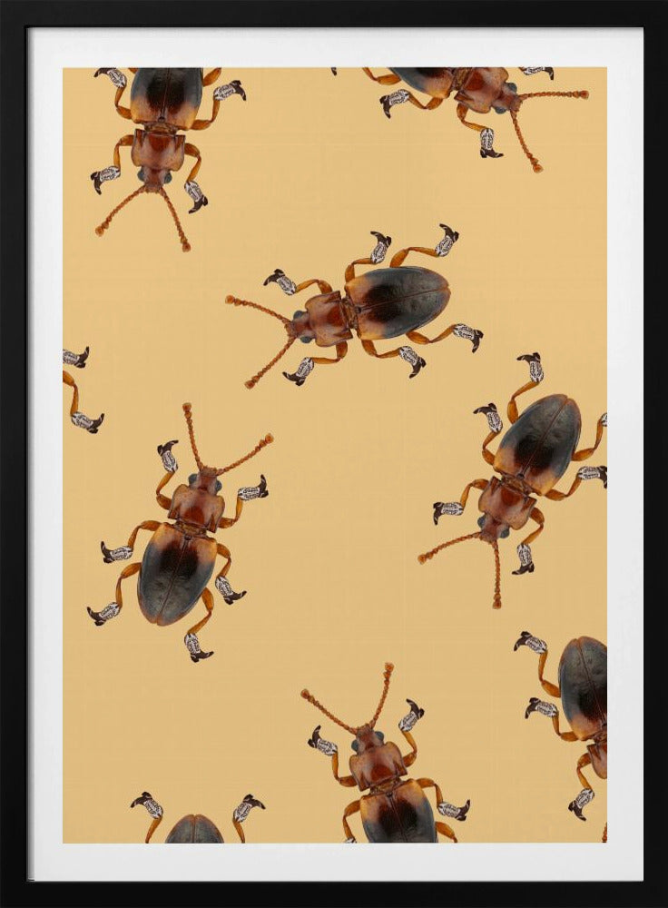 Billy The Booted Beetle | Poster