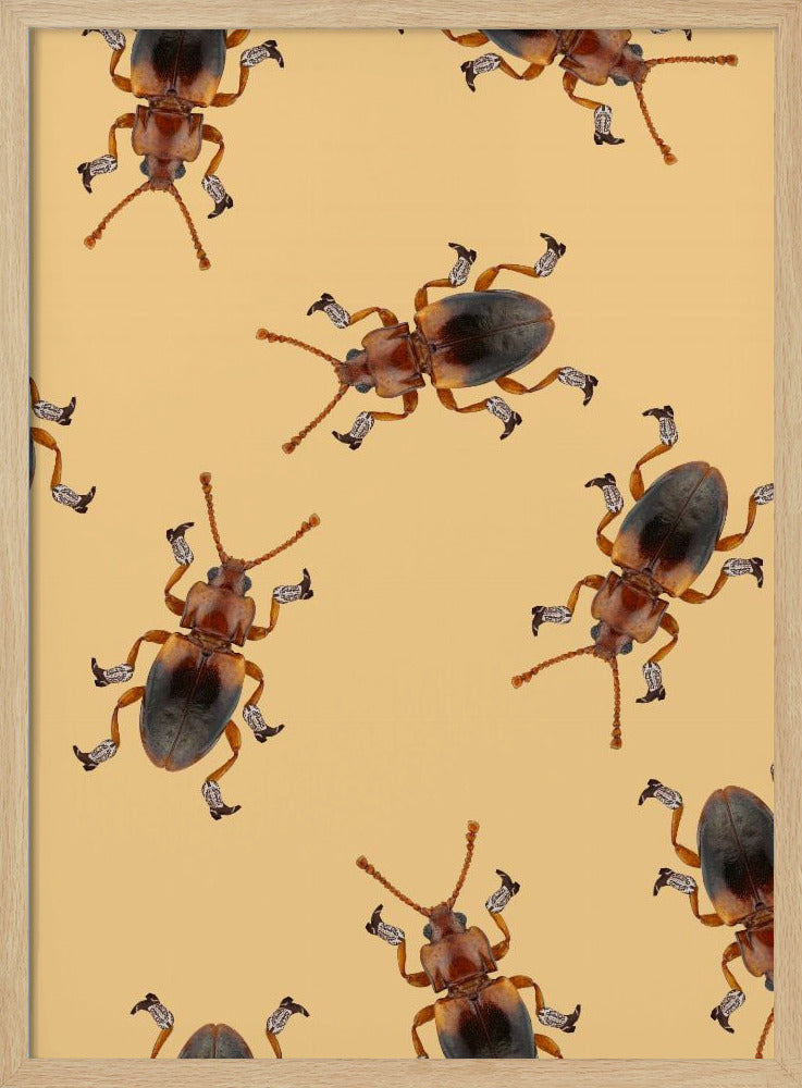 Billy The Booted Beetle | Poster