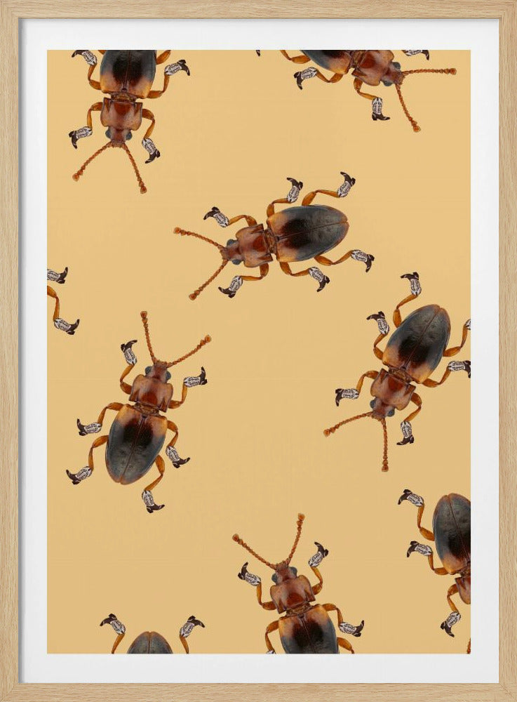 Billy The Booted Beetle | Poster