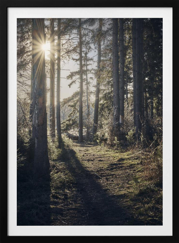 Dsf2913 Hdr 1 | Poster