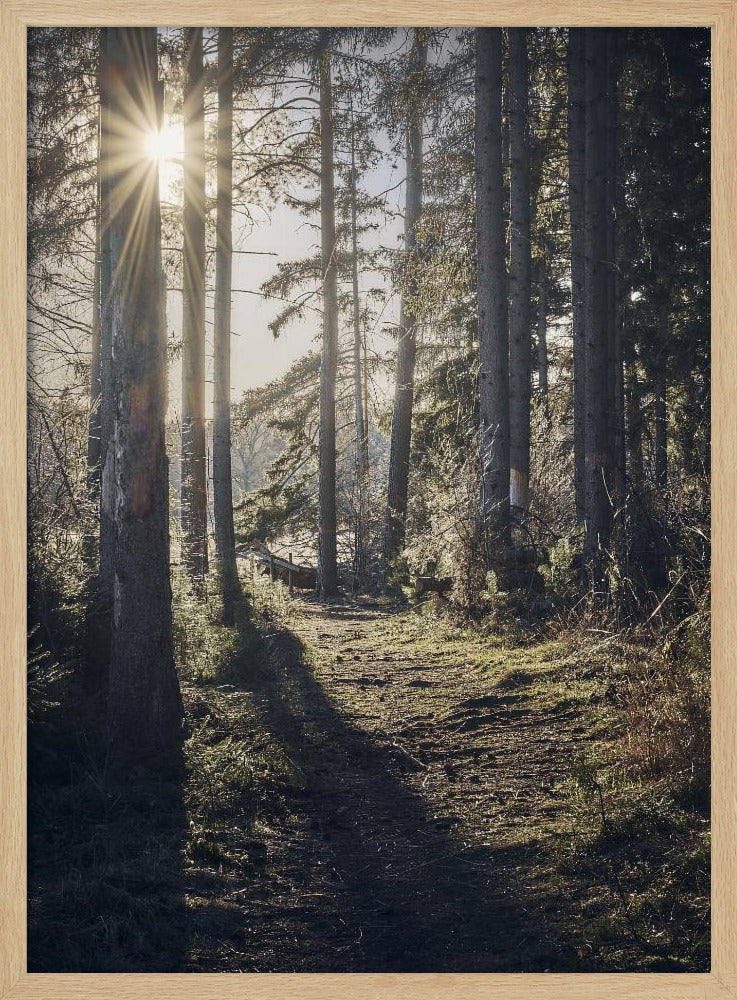 Dsf2913 Hdr 1 | Poster