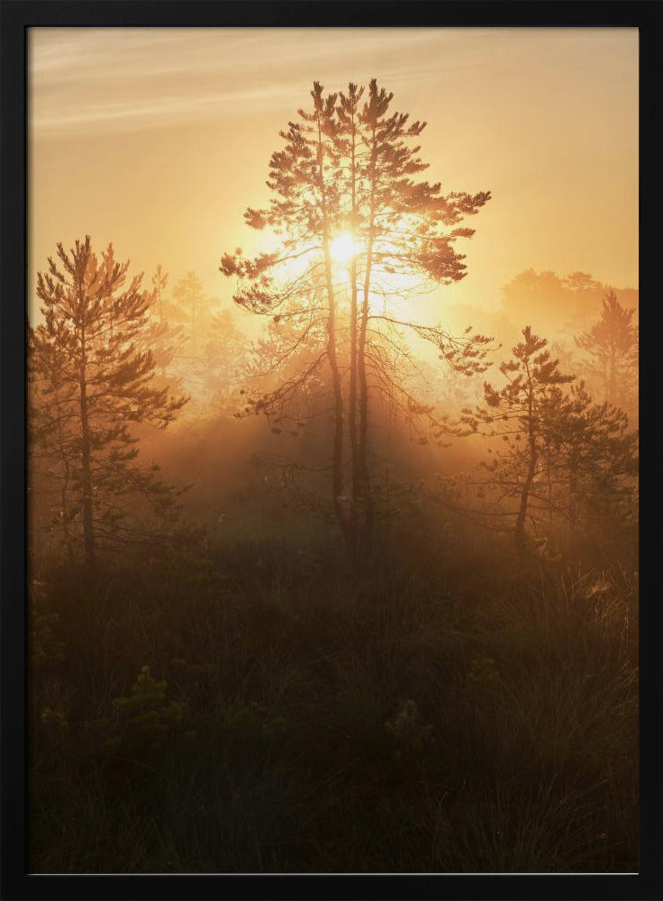 20220809  Dsf8009 Hdr 1 | Poster